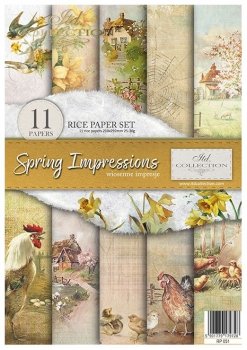Zestaw kreatywny (HS code 48021000) RP051 Spring Impressions
